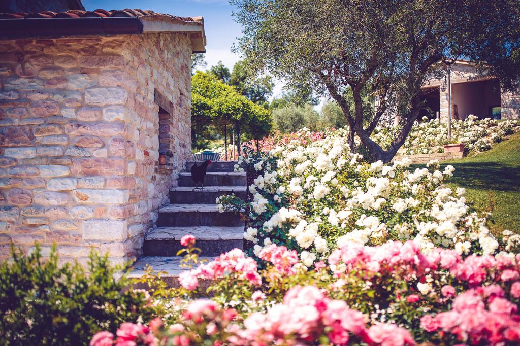 Agriturismo Casal San Sergio Фоссомброне Экстерьер фото
