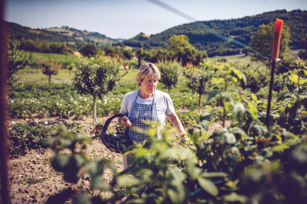 Agriturismo Casal San Sergio Фоссомброне Экстерьер фото