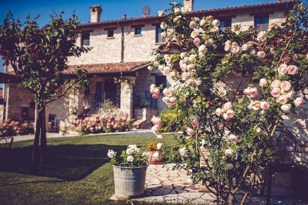 Agriturismo Casal San Sergio Фоссомброне Экстерьер фото